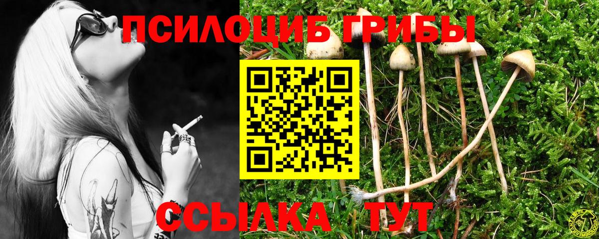Псилоцибиновые грибы мицелий Александров