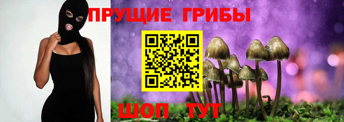 Галлюциногенные грибы GOLDEN TEACHER  Вход с VPN  Галлюциногенные грибы мицелий  Александров 